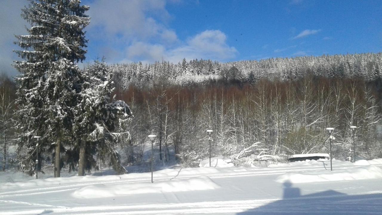Apartamento Na Pekarne Železná Ruda Exterior foto